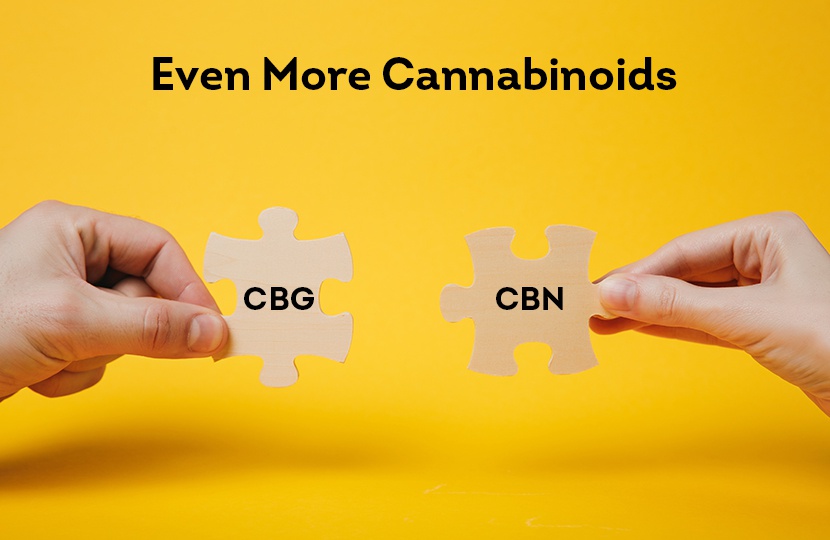 Even More Cannabinoids: Understanding CBG and CBN